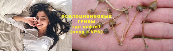 Альфа ПВП Белокуриха
