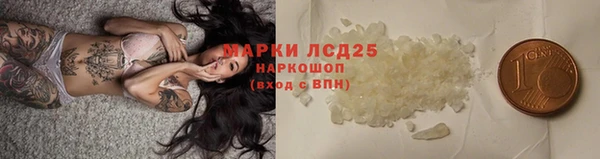 молекула духа Ростов