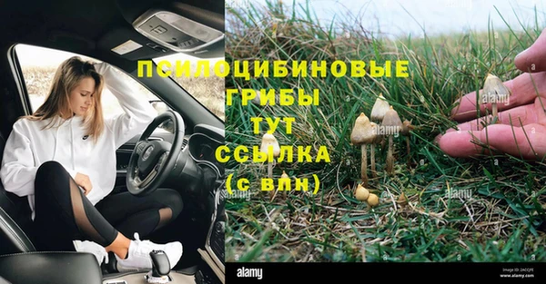 мяу мяу мука Протвино